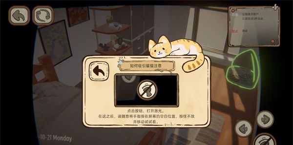 此处应有猫
