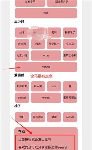 王小兆语音盒