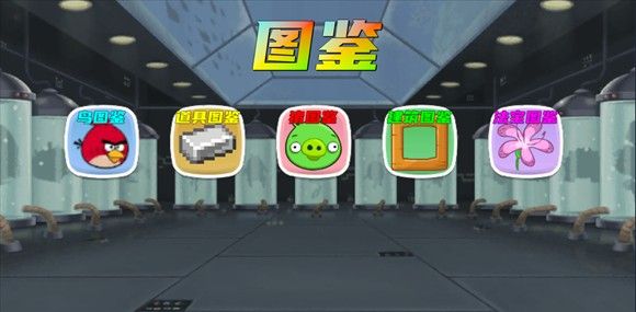 我的鸟制造最新版