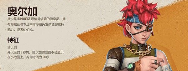 远光84