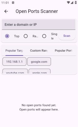 Vernet手机版app安卓最新版下载-Vernet网络分析与监控工具下载免费版本v1.1.0