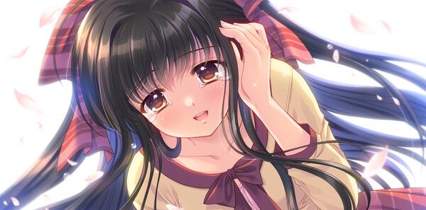 《繁花落舞恋如樱》官方版