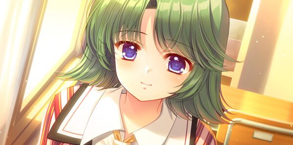 《繁花落舞恋如樱》官方版