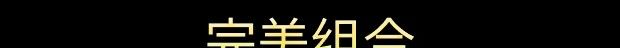 《Bees vs Zombees》免安装汉化版