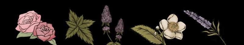 《Sips and Sonnets》免安装版