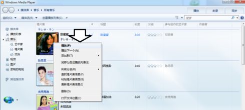 windows media player 12
