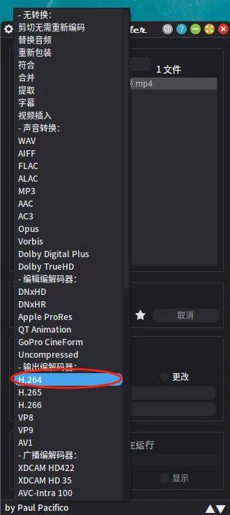 Shutter Encoder电脑版