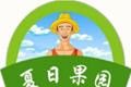 夏日果园logo图