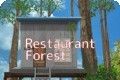 餐厅森林logo图