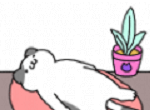 完美之猫logo图