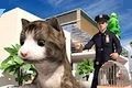 非常宠物猫模拟器logo图
