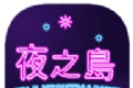 夜之岛logo图