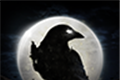 Nightlogo图