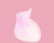 LIFE生命logo图