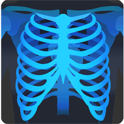 MicroDicom DICOM Viewer(医学影像查看)  
