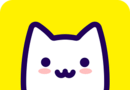狸猫相机logo图