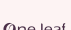 一叶子logo图