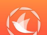 飞鸟浏览器logo图
