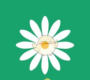 花帮主logo图