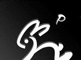 兔泊哥logo图