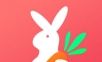 兔子优选logo图