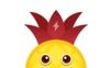 菠萝快租logo图