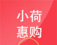 小荷惠购logo图
