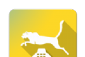 闪光豹来电logo图