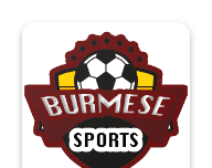 Burmeselogo图