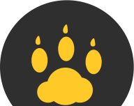 云猫玩logo图