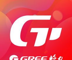 微信董明珠的店logo图