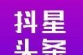 抖星头条logo图