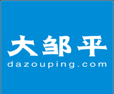 大邹平logo图