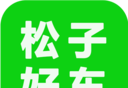 松子好车logo图