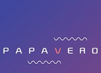 papavero奢品logo图