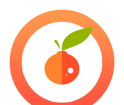 千橙浏览器logo图