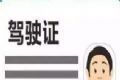 电子驾驶证logo图