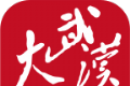 大武汉logo图