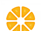 车橙子logo图