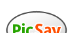 picsaylogo图