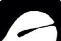 木鱼logo图