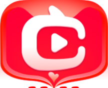 点淘双十一logo图