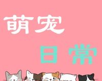 萌宠日常logo图