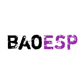 baoesp辅助器logo图
