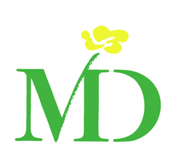 视频md大师logo图