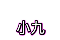 小九框架logo图