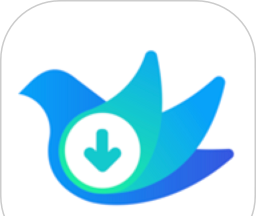 视频下载鸟logo图