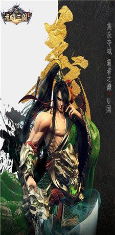 龙曜三国