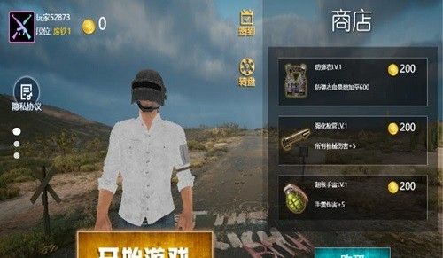 荣耀吃鸡求生战场
