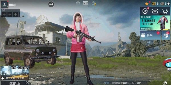和平精英国际服pubg